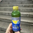 GS25 봉선라인 | 광동제약 V라인 슬림핏 GS25 구매 후기