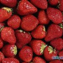 크로바농장 이미지