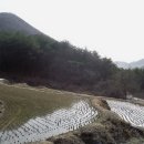 곡란리 | 봄이 오는 소리 Ⅳ