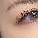 다온래쉬 이미지