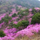 햇살 좋은날 이미지