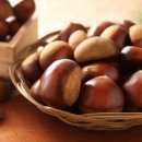 늘밤농원 이미지