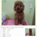멍이사랑 Daum카페