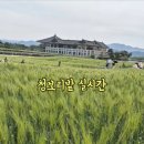 경주 가성비감성숙소 라비앙로즈 이미지