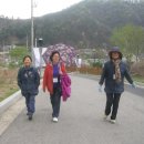 황순원문학관 Daum카페