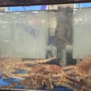 통통마트 이미지