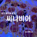 써나비어2013