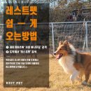 레스트펫 이미지