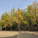 어린이대공원 이미지