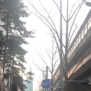 월곡천 이미지