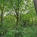 가정3리 이미지