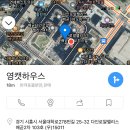 영캣 이미지