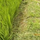 오작교농장 이미지