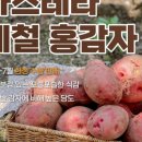 운동농장 이미지