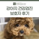 DS메디컬 | 강아지 건강검진 보호자 후기 [대구동물건강검진센터/본동물건강검진영상센터]