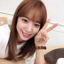 아니니