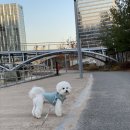 프로지스 이미지