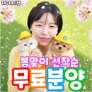 인천강아지분양테디럽 | 경산강아지무료분양 신뢰 가능한 테디럽 후기