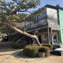 고고씽펜션 | 양주 고고씽펜션 방문 후기 다음에 또 오고 싶은 펜션, 단체로 오기에 좋은 펜션!