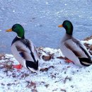 내안에너 이미지