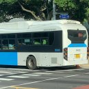 316모터스