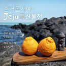 혼저옵서예제주