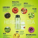 원적외선체온관리점핑다이어트
