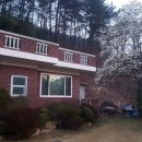 시온 민박 이미지