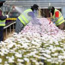 백양산 양묘장 이미지