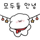 강아지 유치원 caredogs 이미지