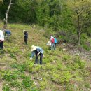 송학1리 이미지