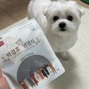 마이애펫 | 강아지슬개골영양제 마이애펫 녹용콘드로이친 조인솔루션 하루에 한번 꾸준히 급여해봤어요 ~