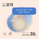 원곡작은도서관 | [임신 35주] 휴직 첫 주! 날라다니는 모머니🤰