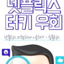 칩플릭스