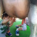 윤찬농장 이미지