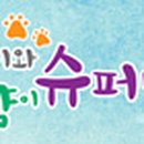 솔솔이와 고양이 슈퍼밴드 이미지