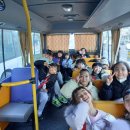 한국체대 키즈 태권도 이미지