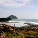 오렌지빌 이미지