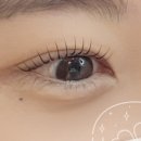하늘속눈썹