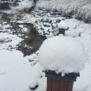 공작산비룡펜션 이미지