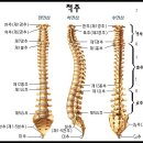 아이고 허리야.... 요통! 집에서 물리치자! (집에서 하는 요통 물리치료!) 이미지