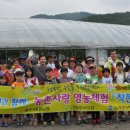 금곡단위농협 이미지