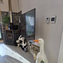 강릉독채펜션 달빛천사 이미지