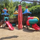 대구초등 병설유치원 이미지