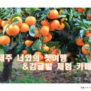 너와제주 이미지