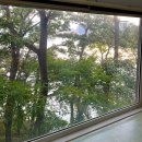 예플로 | 노을에 반해 두번이나 방문한 강화도 예플로 후기 (미리내 / 솔향) /4인 10만원대 가성비 숙소 추천