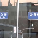대교미트 이미지