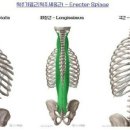 서리풀PT 이미지