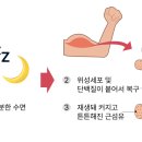 근의 공식 PT 이미지