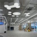 오늘도 힘차개 이미지